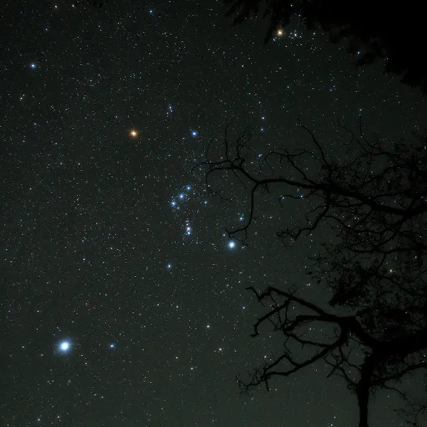 observacion-estelar-1
